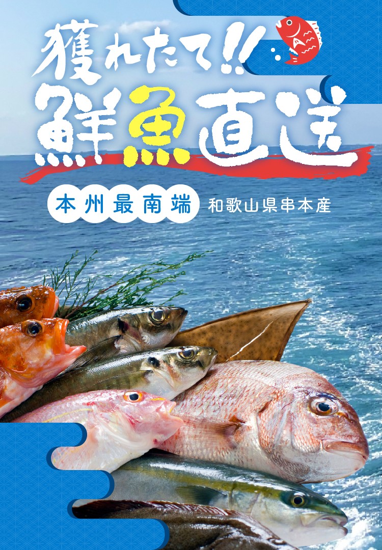 穫れたて！！鮮魚直送